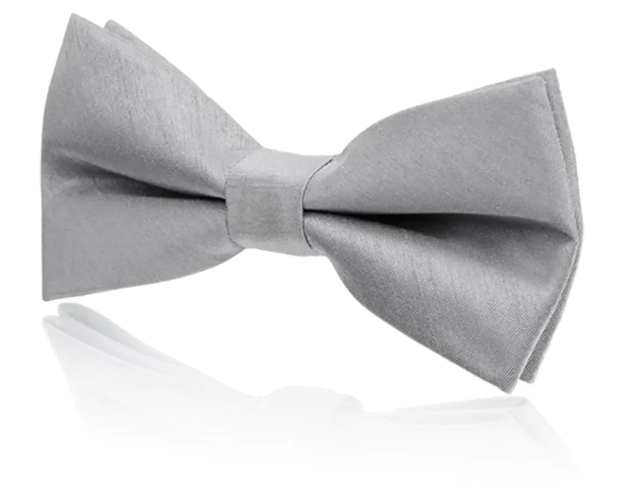 Boys Pre-Tied Silver Poly Dupion Bow Tie