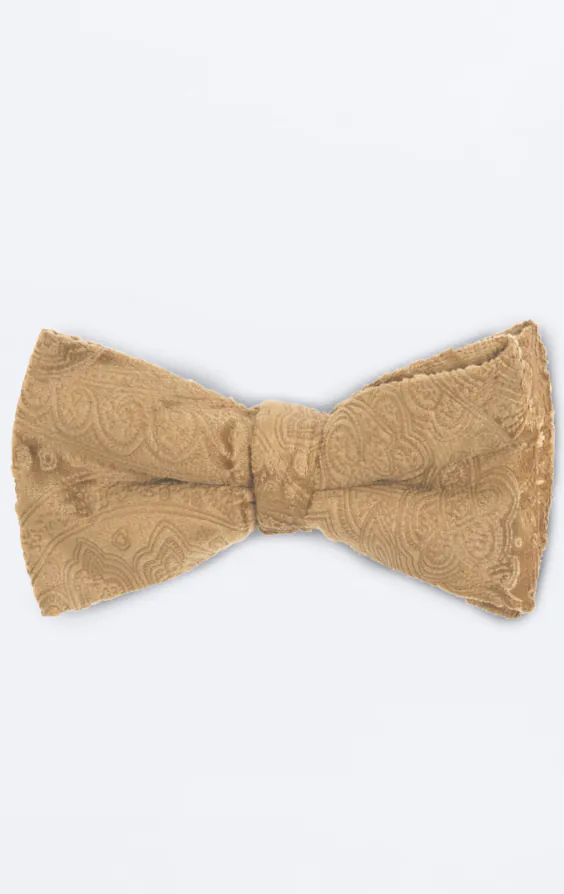 Gold Paisley Velvet Bow Tie Gold Paisley Velvet Bow Tie