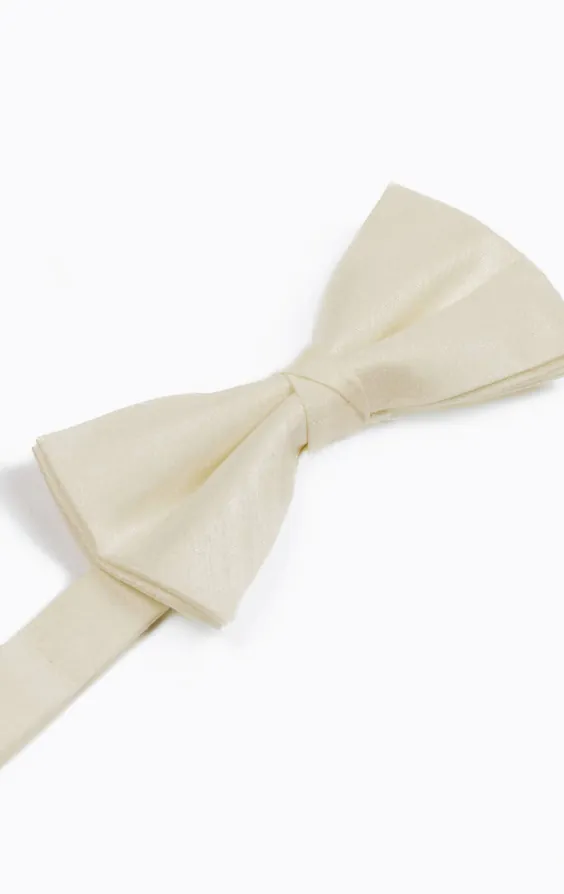Ivory Poly Dupion Bow Tie - photo 1 Ivory Poly Dupion Bow Tie - photo 1