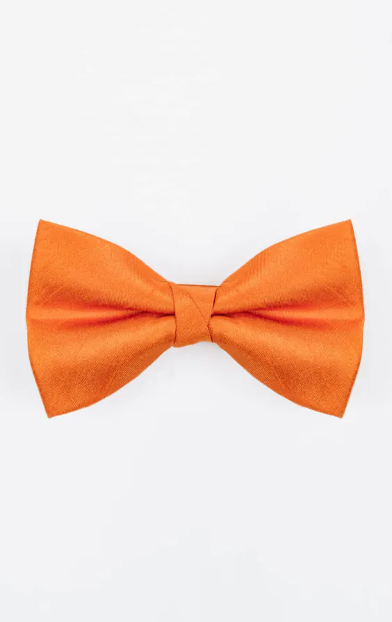 Orange Poly Dupion Bow Tie