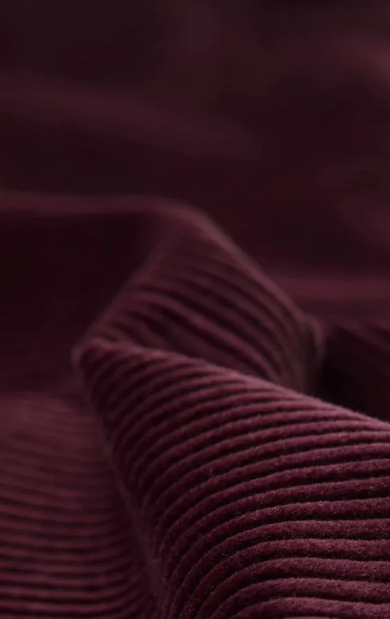 パンツ LA PEAU DE GEM cutwork corduroy pants 36 Burgundy Corduroy Pants | Dobell