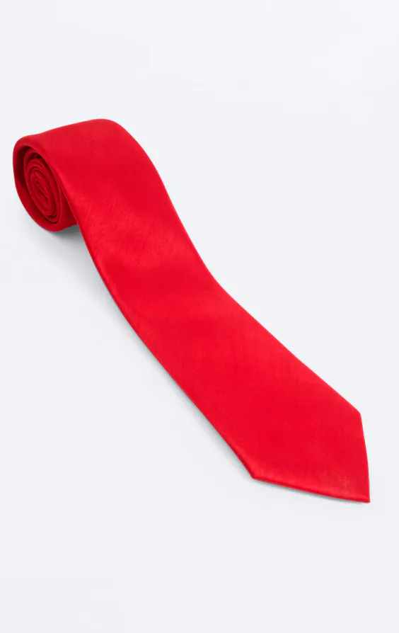 Crimson Red Dupion Necktie - photo 2