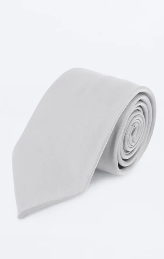 Silver Poly Necktie