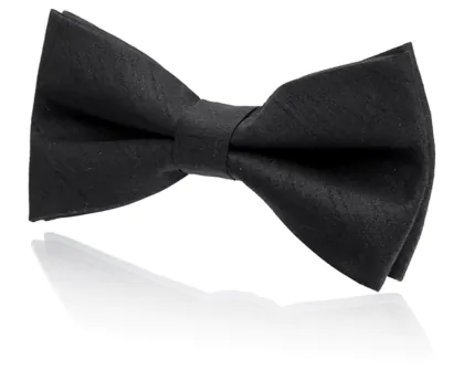 Boys Pre-Tied Black Poly Dupion Bow Tie