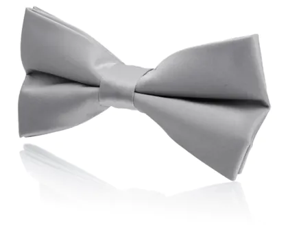 Boys Pre-Tied Silver Poly Bow Tie
