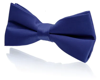Boys Pre-Tied Royal Blue Poly Bow Tie