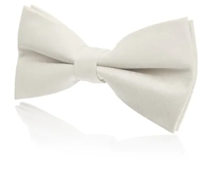 Boys Pre-Tied Ivory Poly Dupion Bow Tie