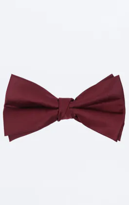 Big & Tall Pre-Tied Burgundy Bow Tie