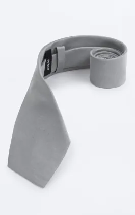 Silver Dupion Necktie