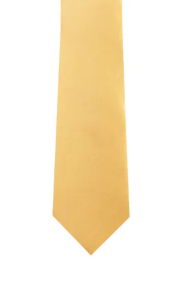 Dark Gold Dupion Necktie