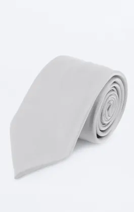 Silver Poly Necktie