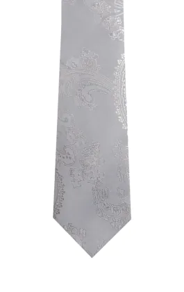 Boys Silver Paisley Neck Necktie